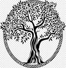 Maybe you would like to learn more about one of these? Tree Of Life Png Images Pngwing
