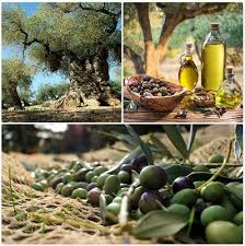 Paraschakis Olive Oil Local Products Of Crete Supported By Melidoni X Village We Buy Local We Love Local We Support Local Melidoni Olive Crete Olive Oil