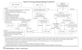 Image result for PECARN Pediatric Intra-Abdominal Injury Algorithm