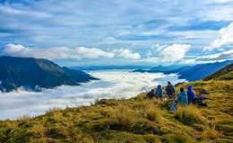 Image result for nols which course
