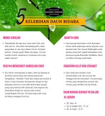 Selepas impot ke malaysia kita jaga pokok2 dengan baik sebelum memasarkan di website.2. New Minyak Bidara Panas Bidan Liza 60ml Bidara Duri Bidara Kampung Shopee Malaysia
