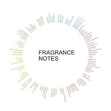 Fragrance Classification Beauty Junkie Fragrance 101
