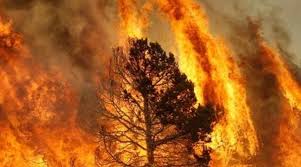 Impegnati tutti i soccorritori, operazioni. Incendi Abruzzo In Fiamme Bosco Ad Atessa A Rischio Centro Abitato