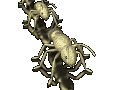 Frequent home pest control concerns generally contain fleas, cockroaches, ants, bed bugs, termites, and spiders. Barnett Pest Solutions Pest Control Termites Bed Bugs