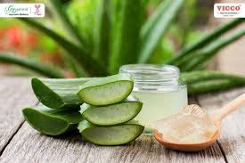 Image result for Aloe vera