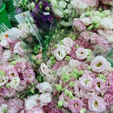 Sustainability and ethical growing practices are part of our uwf® family values and. This Wholesale Florist In Jb Sells Affordable Fresh Cut Flowers From Only Rm1 Johor Foodie
