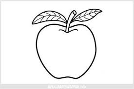 Download now klasifikasi dan morfologi tanaman apel secara lengkap sedulurtani com. Gambar Sketsa Apel Shefalitayal
