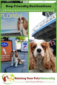 Dog Friendly Travel Guides And Attractions Dog Friends Dog Friendly Vacation Dog Friendly Holidays
