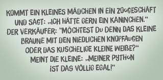 5 Lustige Kaninchen Witze Hafft De