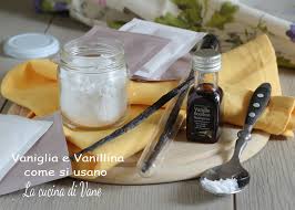 E che è perfetto per i bambini, per la pulizia. Vaniglia E Vanillina Come Si Usano Nei Dolci Consigli E Trucchi