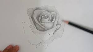 Download 75+ gambar bunga mawar cantik berbagai warna. Tutorial Menggambar Bunga Mawar Untuk Pemula Youtube