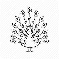 Find & download free graphic resources for peacock bird. Bird Colorful Bird Exotic Bird Male Peacock Beauty Peacock Icon Download On Iconfinder