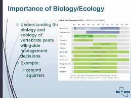 Urban pest animals belong to a variety of vertebrate taxa. Vertebrate Pests Around The Garden And Home Karey