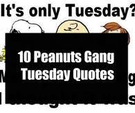 Love this pic's pictures can be … Funny Tuesday Quotes Pictures Photos Images And Pics For Facebook Tumblr Pinterest And Twitter