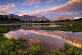 Image result for reflection