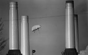 Pink Floyd Animals The Story 40 Years Later Classic Album Sundays