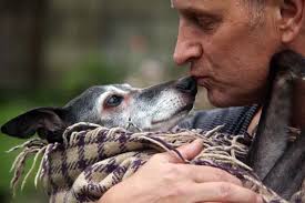 Hundreds join poorly pup Walnut the whippet to say goodbye