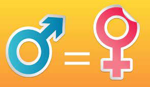 La equidad de género es un conjunto de ideas, creencias y valores sociales en relación a la diferencia sexual, el género, la igualdad y la justicia en lo relativo a los. Que Es Equidad De Genero Su Definicion Y Significado 2021