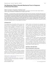 We did not find results for: Https Www Cell Com Biophysj Pdf S0006 3495 10 00662 4 Pdf