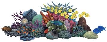 Nicole was wonderful with keeping me up to date with the shipping details. Coral Reef Wall Decals Tropical Fish Wall Decals Ocean Wall Mural