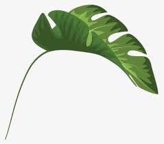 Download 569 tropical leaf outline free vectors. Tropical Leaves Png Images Free Transparent Tropical Leaves Download Kindpng