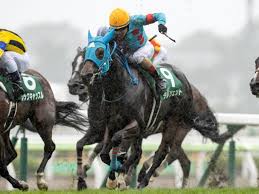 クイーンステークス は、 日本中央競馬会 （jra）が 札幌競馬場 で施行する 中央競馬 の 重賞 競走 （ giii ）である。 競馬番組表での名称は「 北海道新聞 杯 クイーンステークス （ほっかいどうしんぶんはい クイーンステークス）」と表記している 。 Ba0pc1ipouq Pm