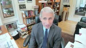 Facebook is showing information to help you better understand the purpose of a page. Dr Anthony Fauci S Home Office Gains Attention During Virtual Covid 19 Senate Hearing