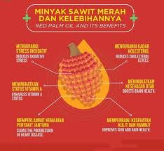 Berikut pada gambar 2 ditunjukkan luas area total dan jumlah produksi dari beberapa minyak nabati utama di dunia. Kebaikan Minyak Kelapa Sawit Merah Red Palm Oil Islam Itu Indah