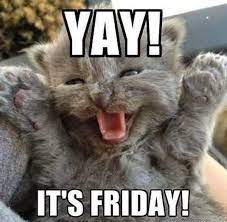 Vanessa Haasbroek On Twitter Happy Memes Funny Pictures Friday Meme