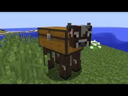 Assets contains either minecraft images (assets/minecraft) or edited 'cursed' images (assets/cursed). This Cursed Minecraft Video Will Trigger You Youtube