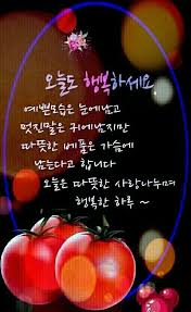 오늘도 행복하세요 멋진 명언 영감을 주는 인용구 사랑 카드