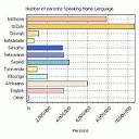 Black South African Englishes