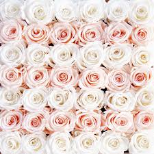Red roses are by far the most popular shade of flowers chosen, but do you understand the meaning when you send a dozen stems to a significant other? February 2017 The Beauty Look Book
