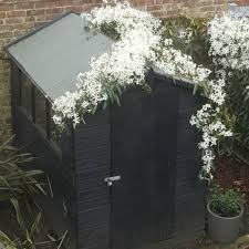 White flowers that break open from apple pink buds make clematis amandii 'apple blossom' a must have fragrant climbing plant. Clematis Armandii Apple Blossom Clematis Armandii Apple Blossom Uploaded By Thedanielrichards
