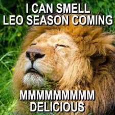 Birthday Coming Up Meme Virgo Leo Season Is Coming Leo Zodiac Meme Funny Leo Memes Leo Horoscope Leo Astrology Leo Woman Leo Birthday Lion Meme Leo Season Leo Season Memes Leo