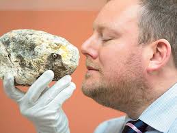 The vomit is said to be an ambergris, which is a lustrous substance that looks like a rock. Smelling A Fortune Dh263 443 From Whale S Vomit World Gulf News
