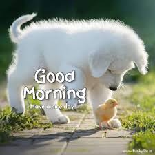 We did not find results for: 250 Good Morning Images Pictures Beautiful Morning Wishes 2021