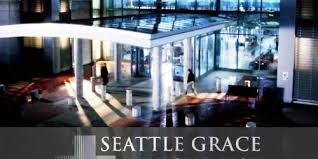 14 season is a show. Seattle Grace Hospital Sgh Grey S Anatomy Rus Amino