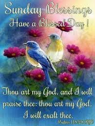May you be blessed this sunday! Top 50 Awesome Sunday Images And Quotes Sunday Images Happy Sunday Quotes Blessed Sunday Morning
