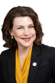 Wolber overcomes upstart Cannon in Clinton Township race