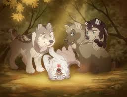 A white wolf or arctic wolf is a mammal of the canidae family and a subspecies of the gray wolf. The Black And White Wolf Anime Love Story On Hold Savior Wattpad