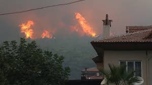 Marmaris yangınının ardından bodrum'da da orman yangını başladı. Greg Cnygissgm