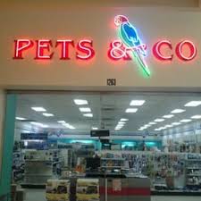 Exotic pets & more inc specializes in exotic small animals, reptiles, birds, as well as tropical and marine fish. Exotics Archives Pet Fayre Reading