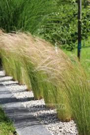 Stipas Ou Cheveux D Anges Massif De Graminees Au Gres Du Vent Jardin Moderne Plan Jardin Idees Jardin
