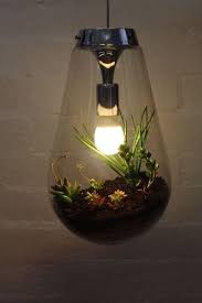 7 Idees Pour Un Terrarium Vegetal Original Terrarium Garden Terrarium Miniature Garden