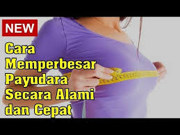 Payudara yang kecil membuatkan wanita berasa kurang yakin dengan diri sendiri dan keayuannya tidak menyerlah. Cara Memperbesar Payudara Secara Alami Dan Cepat Youtube