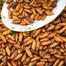 Instead, they eat the yeast cells that grow. Grubs Up A Third Of Britons Think We Ll Be Eating Insects By 2029 Food The Guardian