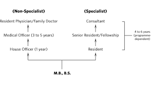 Average salary in malaysia is 119,822 myr / year. Medical Service Career Path