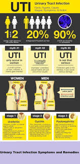 Urinary Tract Infection Uti Facts Myth Cause Symptoms Remedies Parts Anatom Urinary Tract Infection Remedies Uti Remedies Remedies For Kidney Infection