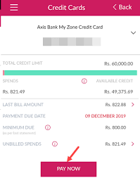 Fields marked * are mandatory. How To Pay Axis Bank Credit Card Bill Online Alldigitaltricks